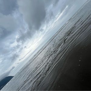 Meet your Posher, Samuel